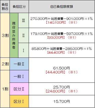 自己負担限度額